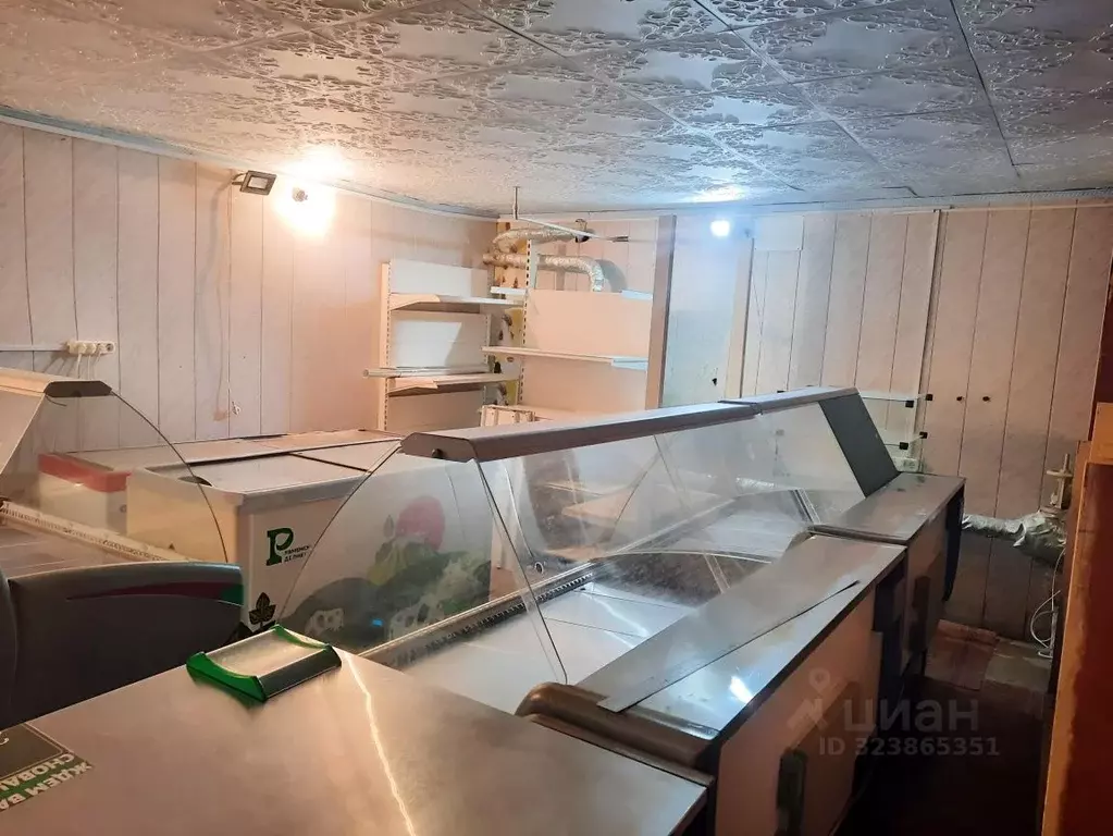 Помещение свободного назначения в Саратовская область, Саратов ул. ... - Фото 1