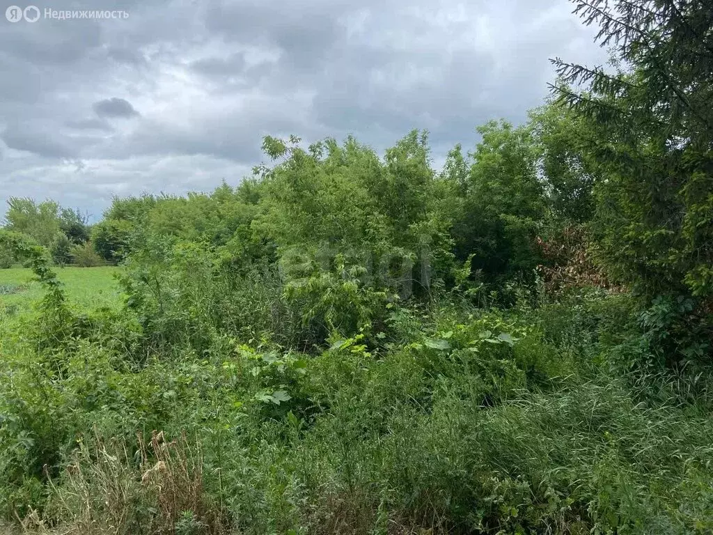 Участок в Белгородская область, Шебекинский муниципальный округ, ... - Фото 2