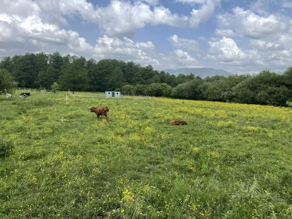 Участок в Северная Осетия, Владикавказ Редант СНО,  (6.0 сот.) - Фото 1
