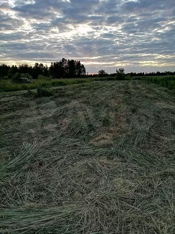 Участок 11 сот. (ИЖС) - Фото 1