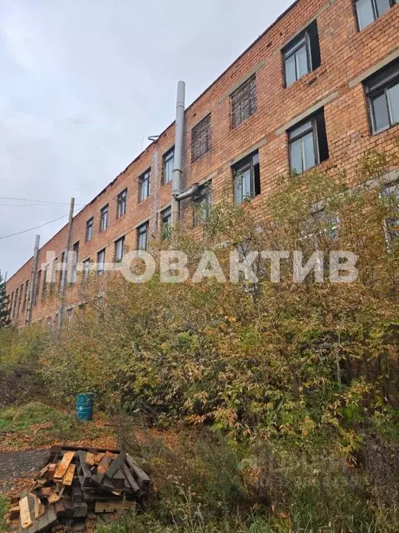 Помещение свободного назначения в Новосибирская область, Новосибирск ... - Фото 1