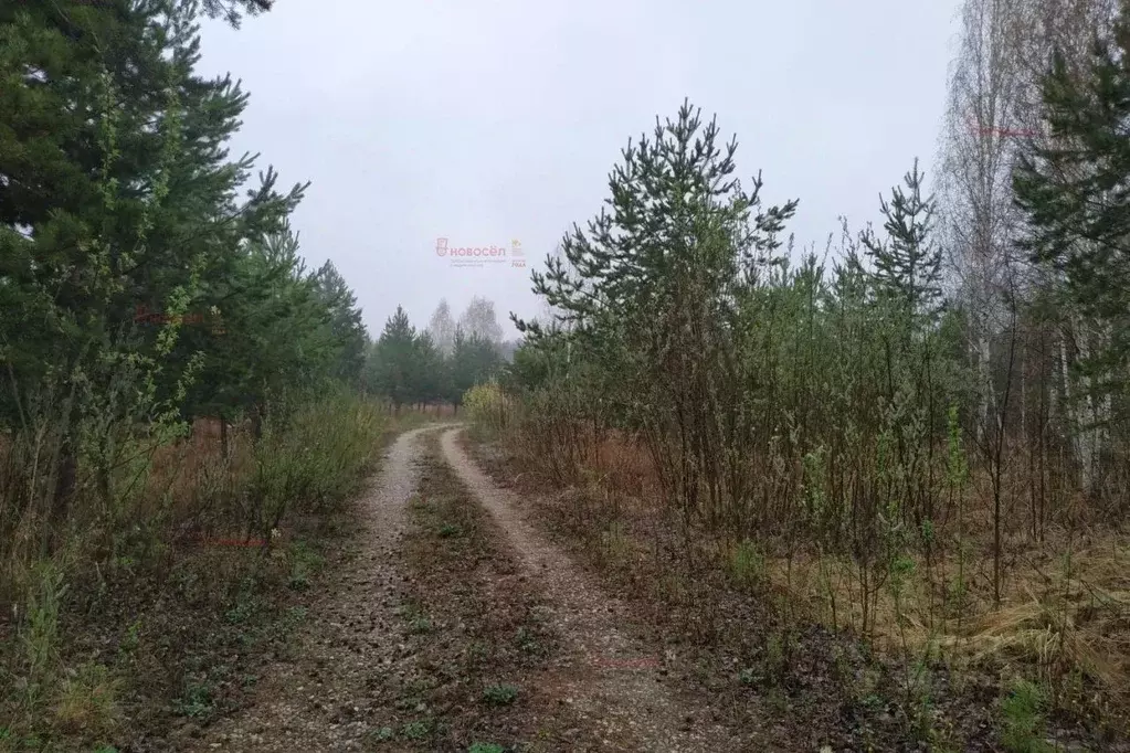 Участок в Свердловская область, Белоярский муниципальный округ, пос. ... - Фото 1