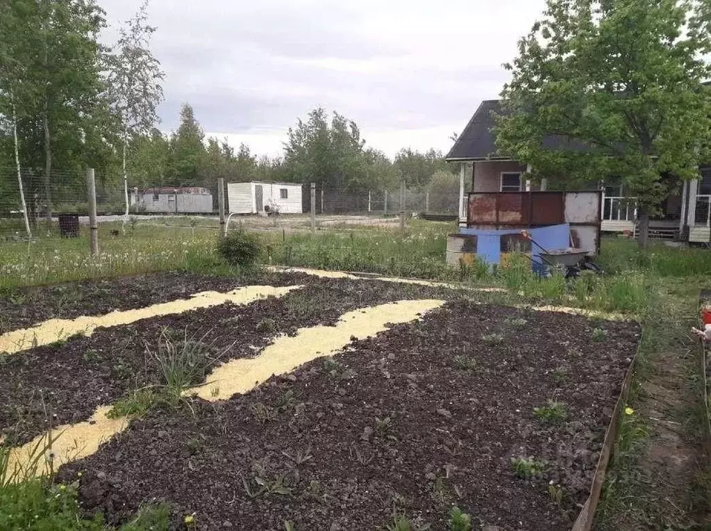 Участок в Новгородская область, Новгородский район, Панковское ... - Фото 1