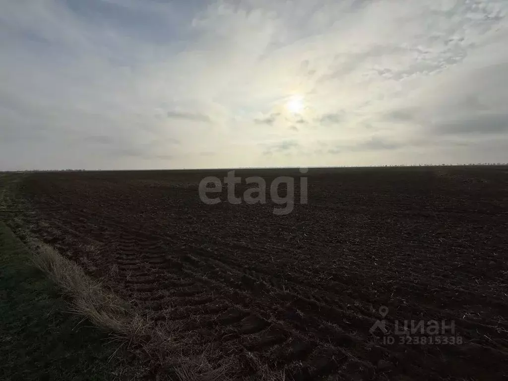 Участок в Крым, Раздольненский район, Славянское с/пос, с. Аврора ул. ... - Фото 1