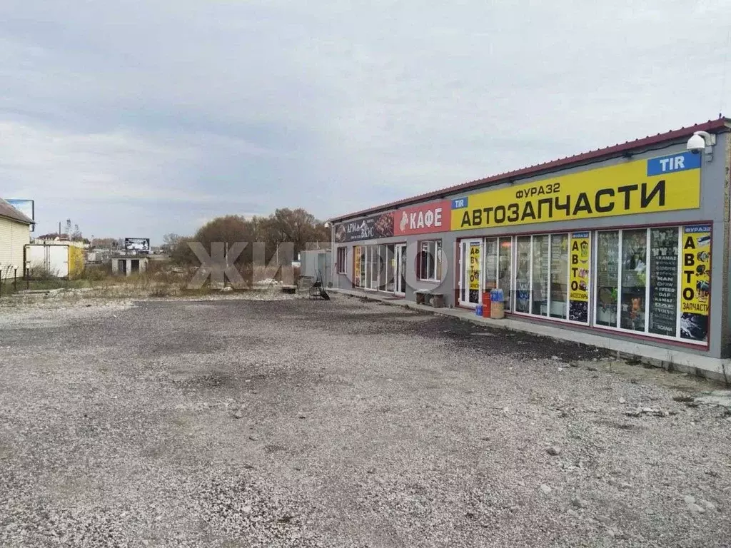 Участок в Брянская область, Выгоничский район, Кокинское с/пос, с. ... - Фото 1