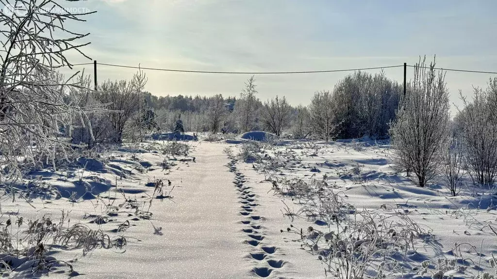 Участок в городской округ Нижний Новгород, село Безводное (1583 м) - Фото 1