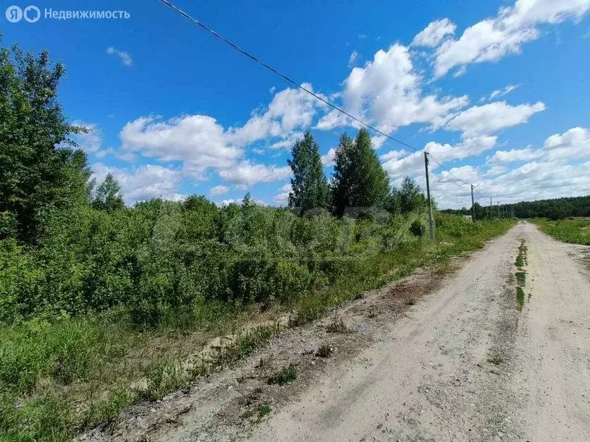 Участок в Тюменский район, село Борки (14.9 м) - Фото 1