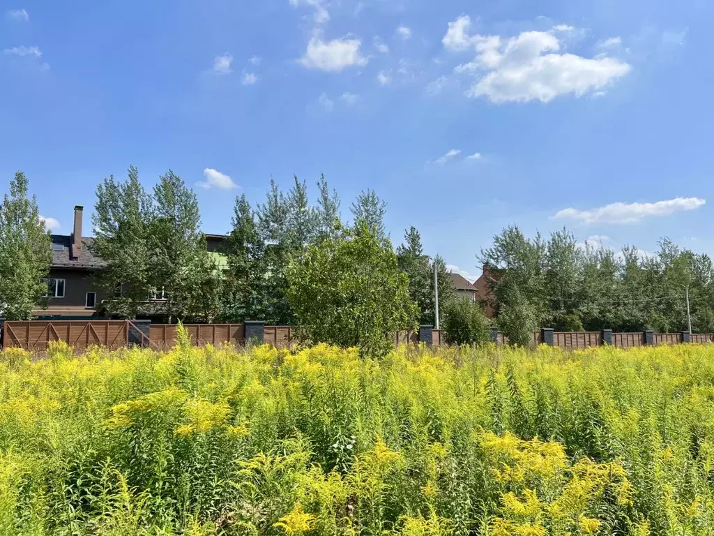 Участок в Московская область, Истра муниципальный округ, д. Красный ... - Фото 2