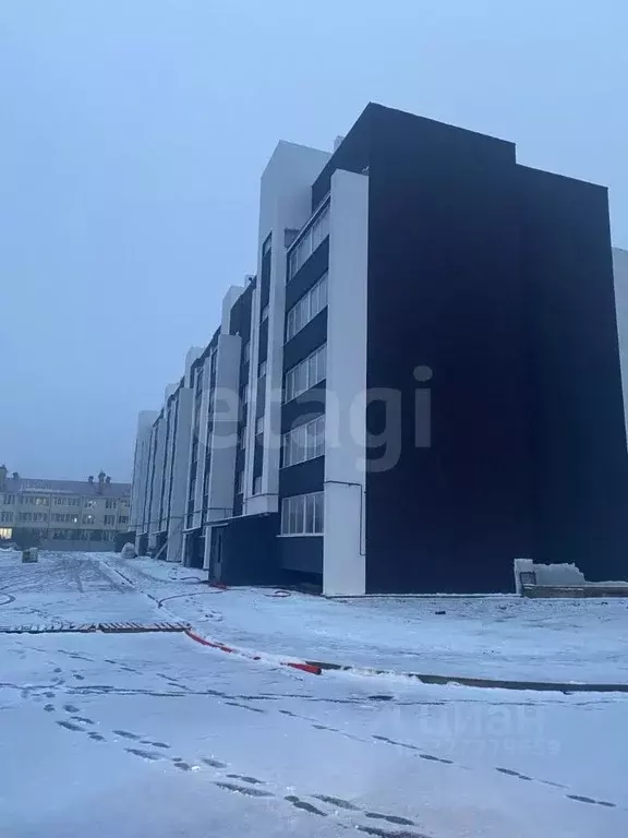 2-к кв. Ярославская область, Ярославский муниципальный округ, пос. ... - Фото 2