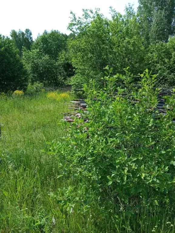 Участок в Нижегородская область, Дальнеконстантиновский муниципальный ... - Фото 2