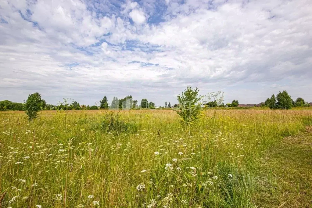 Участок в Новосибирская область, Коченевский район, Эко-городок ... - Фото 1