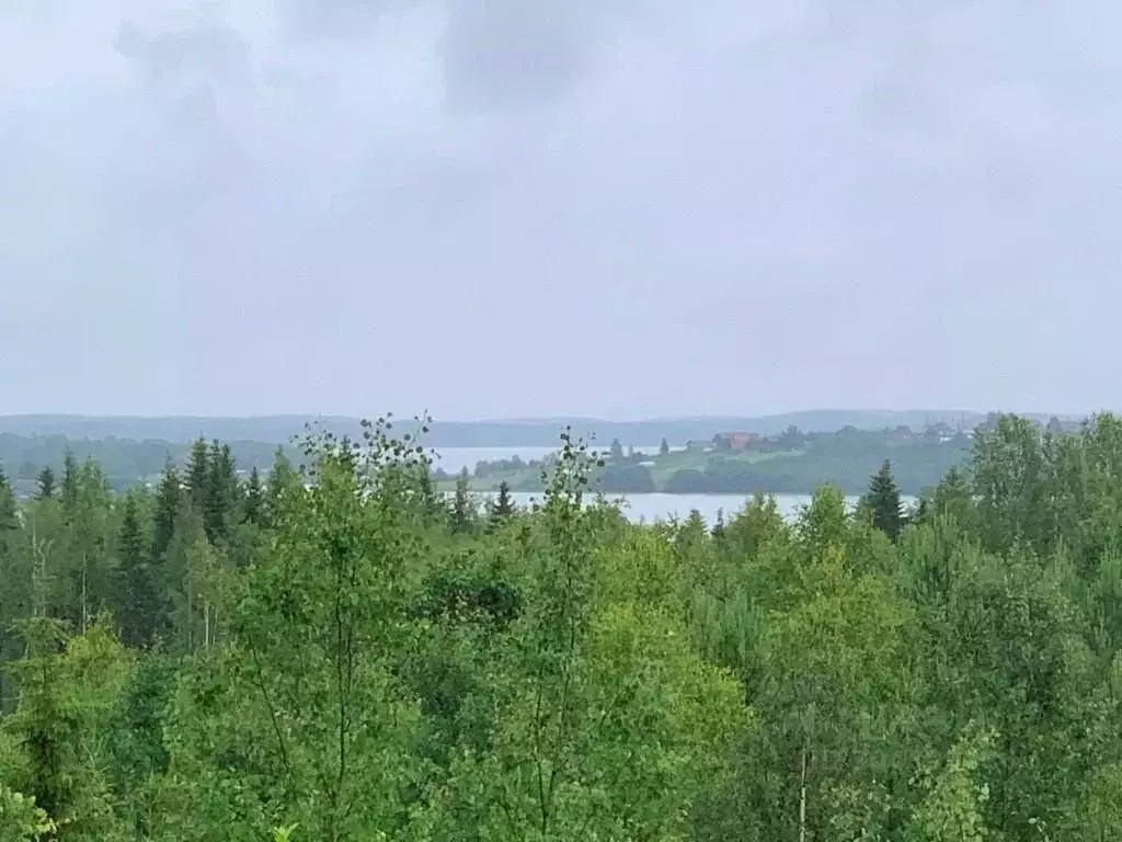 Участок в Архангельская область, Приморский муниципальный округ, д. ... - Фото 0