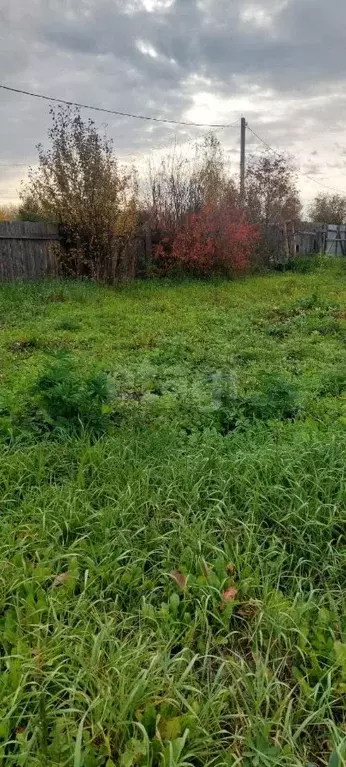 Участок в Новосибирская область, Искитимский район, Мичуринский ... - Фото 1