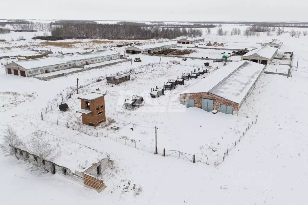 Производственное помещение в Челябинская область, Октябрьский район, ... - Фото 0