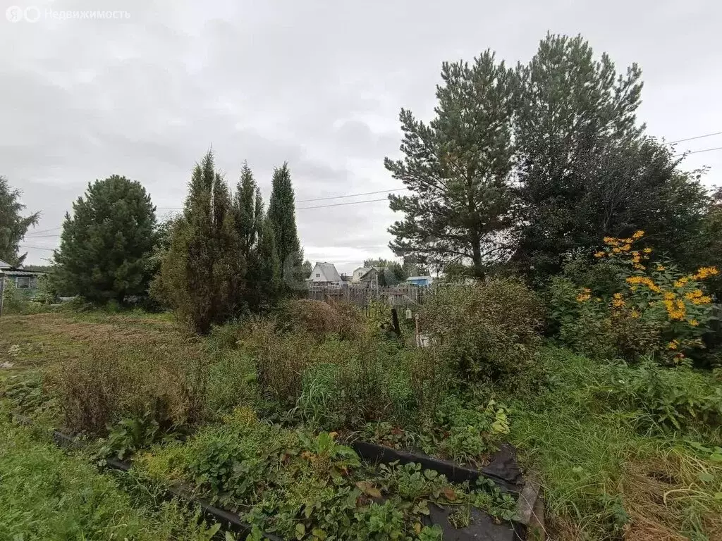 Дом в Тюменская область, Тобольский муниципальный округ, ... - Фото 2