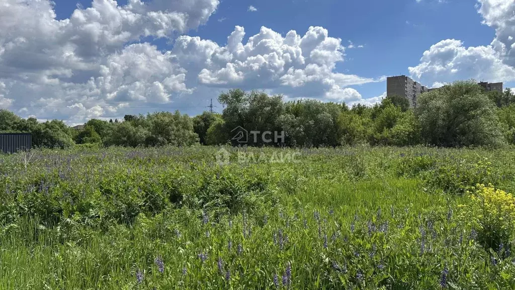 Участок в Московская область, Богородский городской округ, д. Пешково  ... - Фото 1
