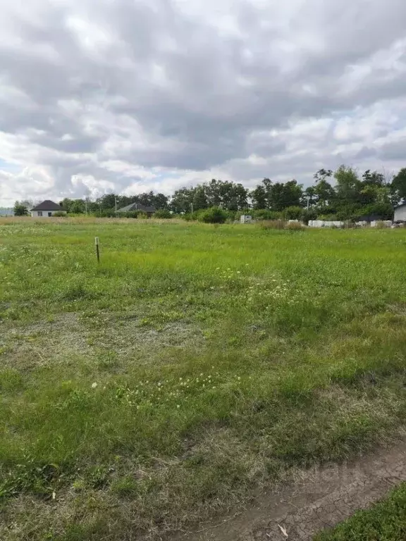 Участок в Белгородская область, Яковлевский муниципальный округ, с. ... - Фото 1
