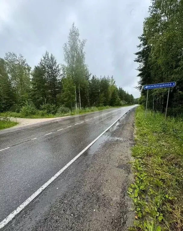 Участок в Владимирская область, Покров городской округ, д. Килекшино ... - Фото 1