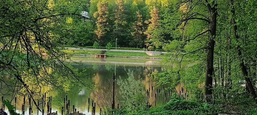 Участок в Московская область, Ленинский городской округ, д. Спасские ... - Фото 1