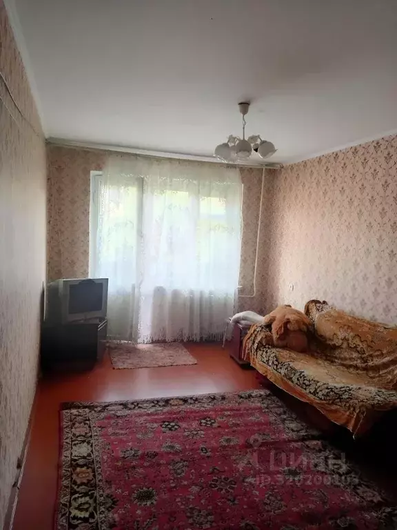 2-к кв. Хакасия, Черногорск просп. Космонавтов, 44Б (42.0 м) - Фото 0