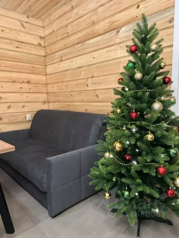 Дом в Алтай, Чемальский район, с. Чепош Родниковая ул., 44А (95 м) - Фото 2