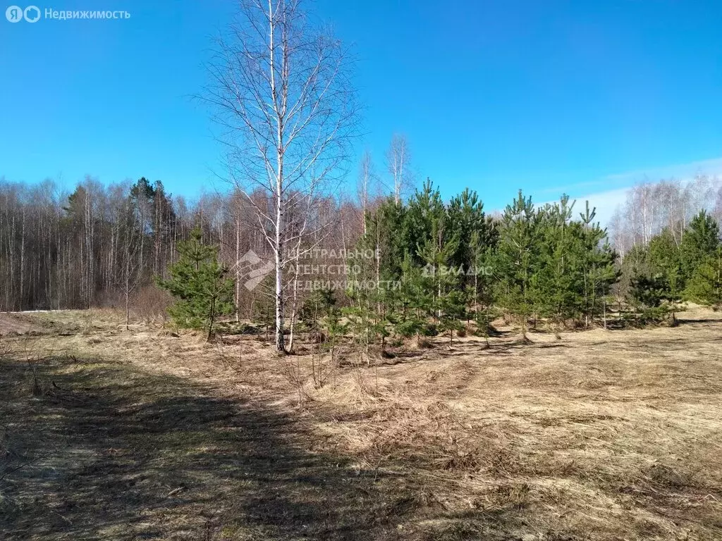 Участок в Лощинино, Зелёная улица (20 м) - Фото 1