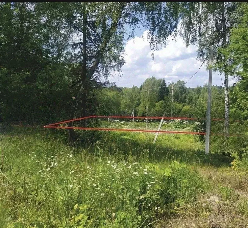 Участок, 24 сот., поселения (ижс) - Фото 1