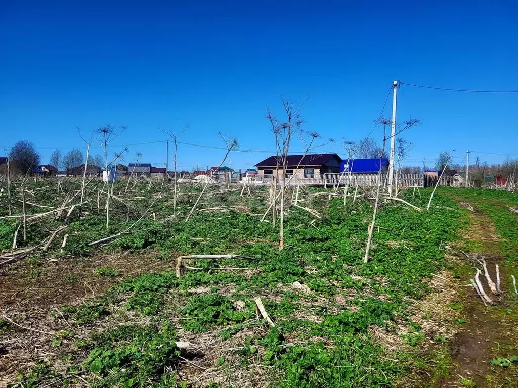Участок в Коми, Сыктывдинский район, с. Выльгорт ул. Березовая (8.0 ... - Фото 1