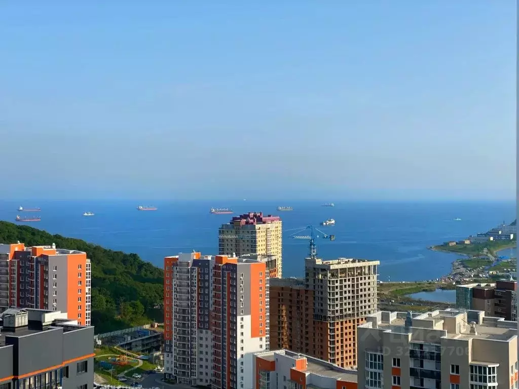 2-к кв. Приморский край, Владивосток ул. Архангельская, 29к1 (45.0 м) - Фото 2