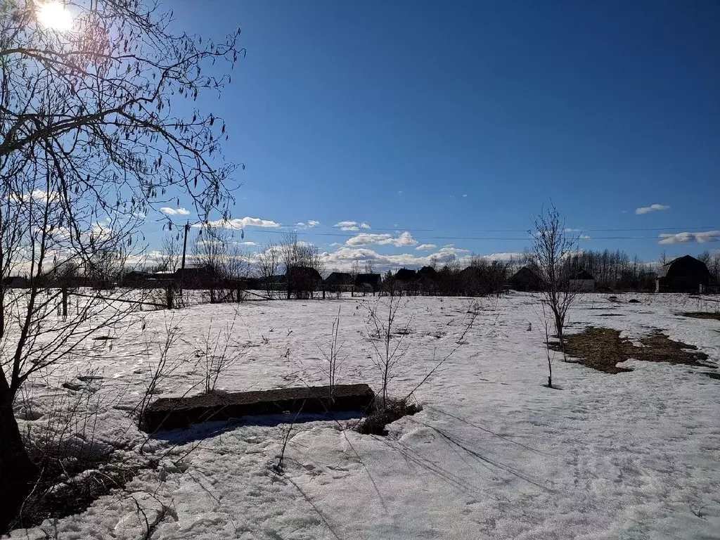 Участок в Новгородская область, Новгородский район, Трубичинское ... - Фото 0