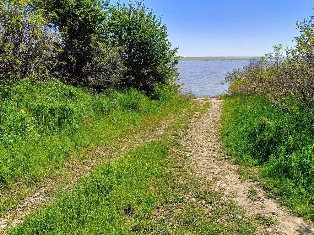 Дом в Краснодарский край, Краснодар городской округ, Ленина хут. ул. ... - Фото 1