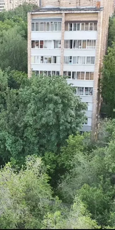 2-к. квартира, 52 м, 11/12 эт. - Фото 0