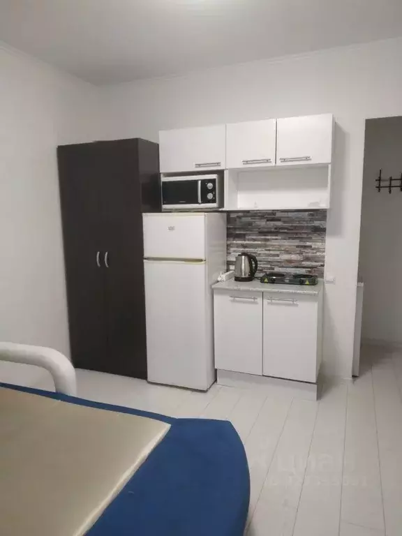 Студия Московская область, Ленинский городской округ, пос. Битца Южная ... - Фото 1