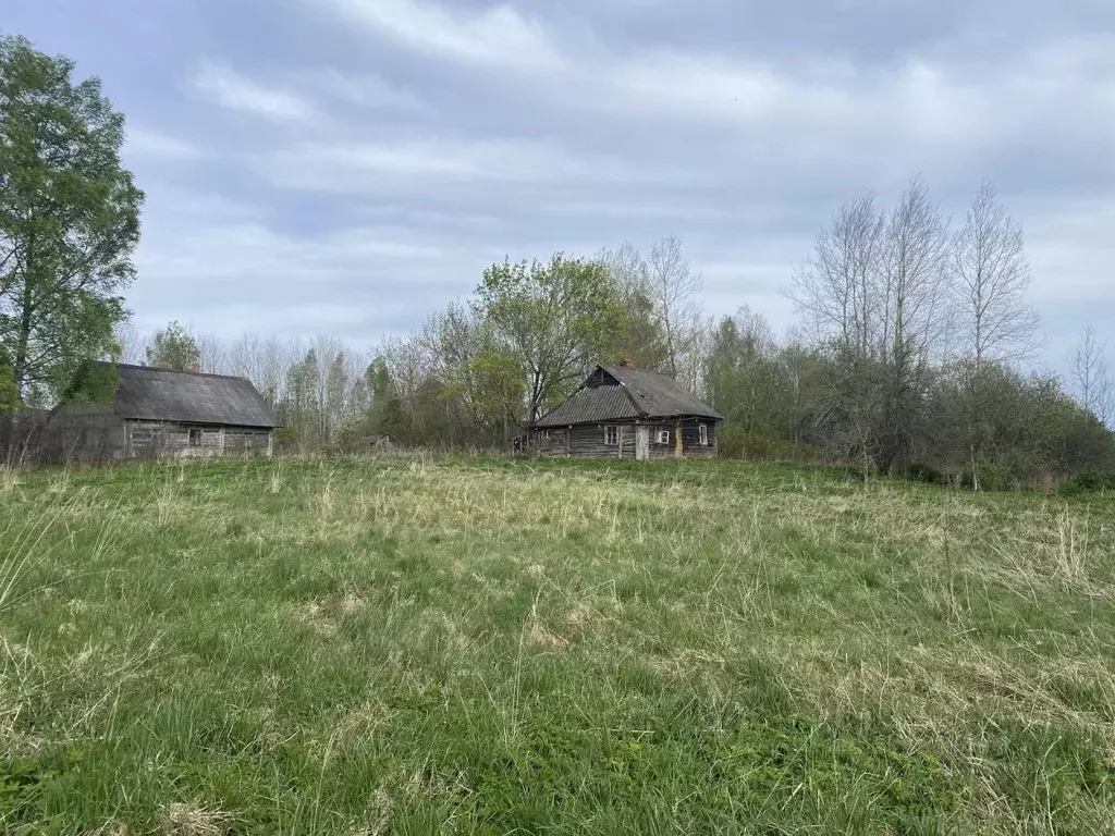 Участок в Псковская область, Пушкиногорье городское поселение, д. ... - Фото 2