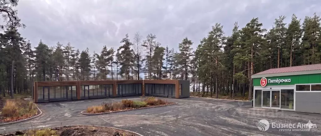 Помещение свободного назначения в Ленинградская область, Выборгский ... - Фото 1