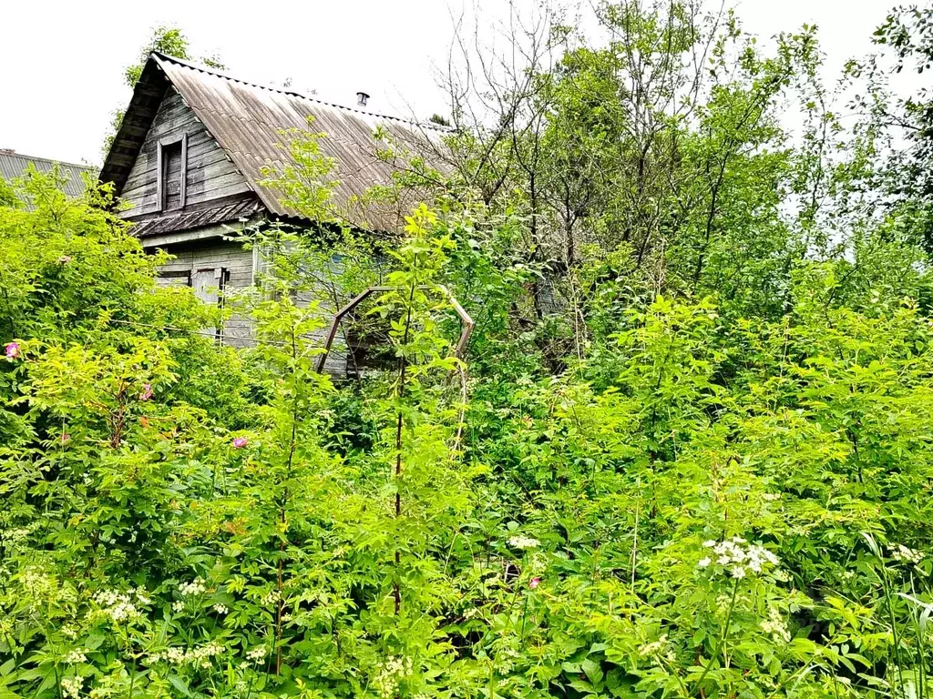 Дом в Тверская область, Пено пгт пер. Школьный, 8 (33 м) - Фото 2