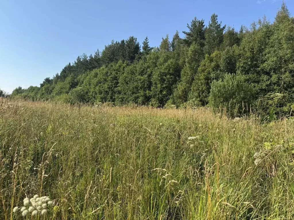 Участок, 8 сот., сельхоз (снт или днп) - Фото 1