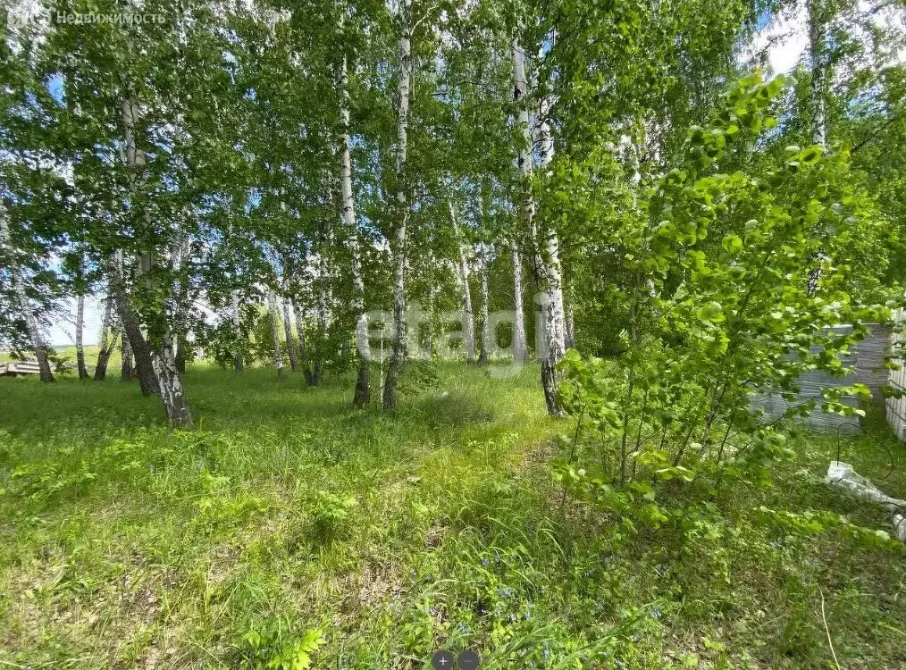 Участок в Усть-Ивановка, улица Связистов (15.85 м) - Фото 1