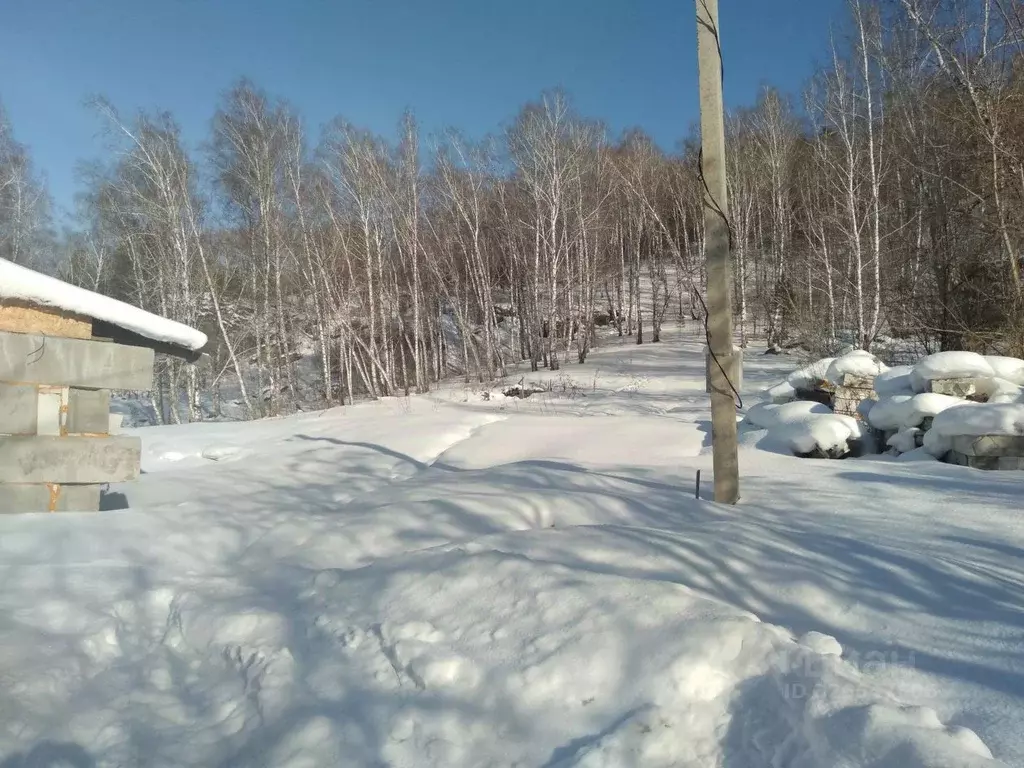 Участок в Алтай, Майминский район, пос. Дубровка  (12.0 сот.) - Фото 2