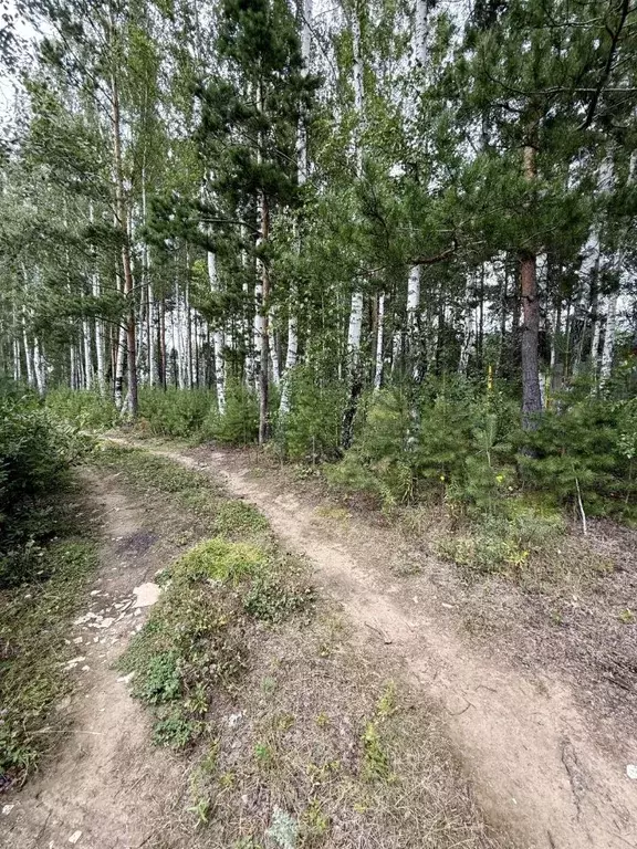 Участок в Свердловская область, Полевской ул. Блюхера (14.0 сот.) - Фото 2