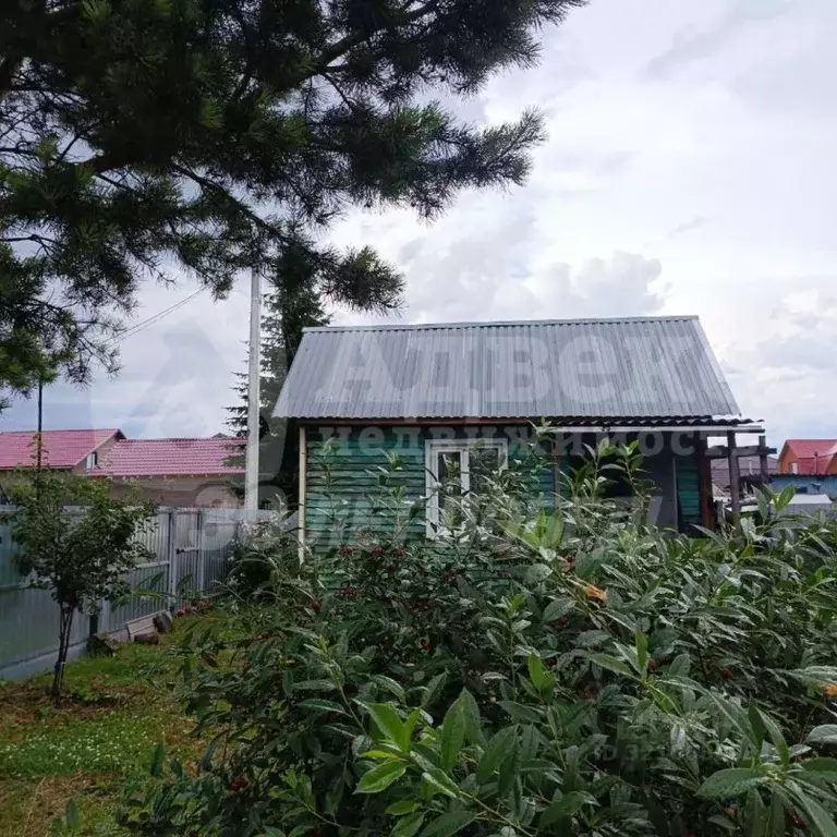 Дом в Тюменская область, Тюмень Садовое товарищество Липовый остров, ... - Фото 1