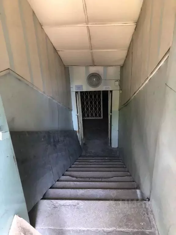 Помещение свободного назначения в Кемеровская область, Кемерово ул. ... - Фото 1