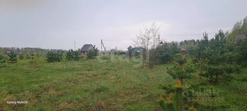 Участок в Брянская область, Брянский район, с. Домашово  (15.0 сот.) - Фото 1