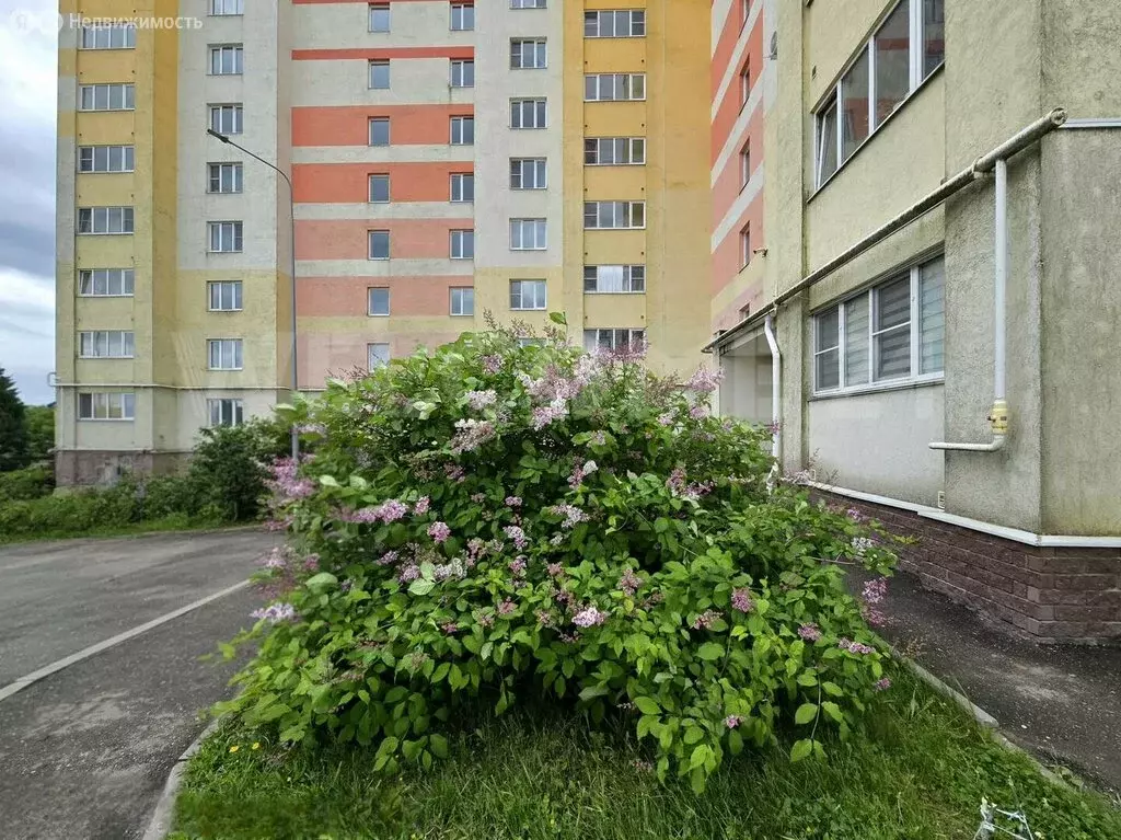 2-комнатная квартира: Бор, улица Максима Горького, 62/6 (51 м) - Фото 2