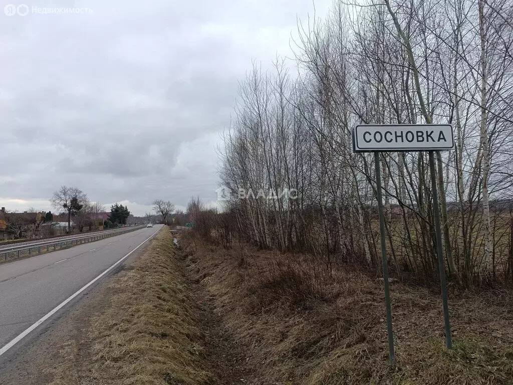 Участок в Зеленоградск, Молодёжная улица (7.75 м) - Фото 1