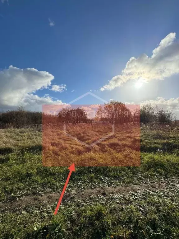 Участок в Калининградская область, Гурьевский муниципальный округ, ... - Фото 2