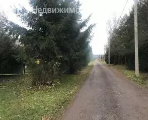 Участок в Волосовский район, Бегуницкое сельское поселение, деревня ... - Фото 0