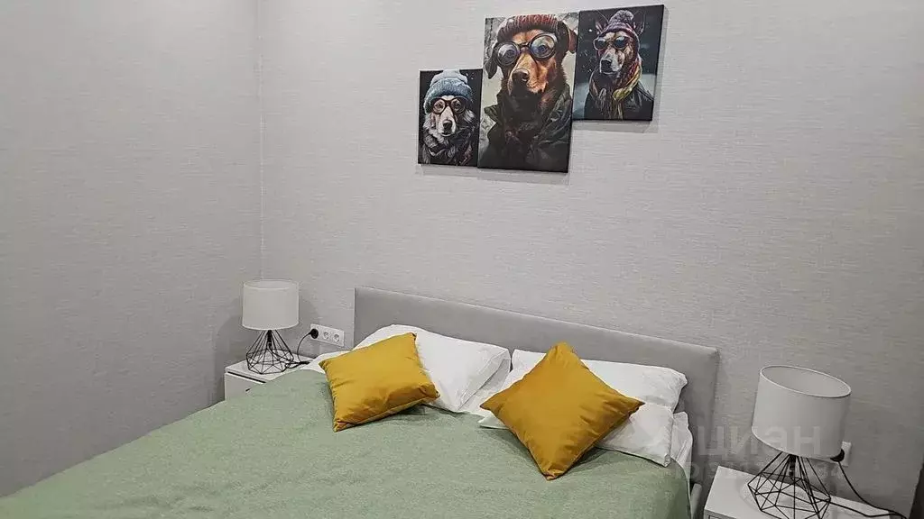 1-к кв. Псковская область, Псковский район, Завеличенская волость, д. ... - Фото 2