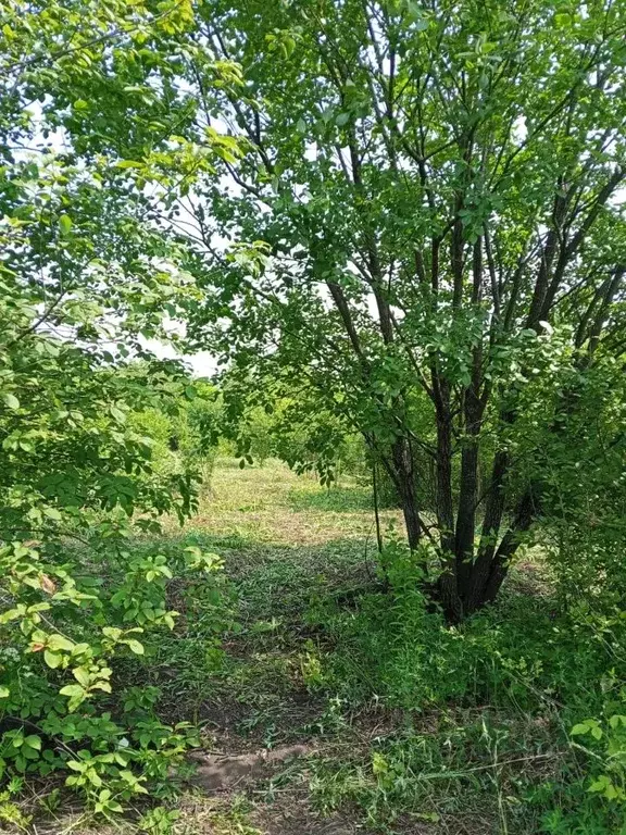 Участок в Башкортостан, Уфа Дружба СНТ,  (16.0 сот.) - Фото 1