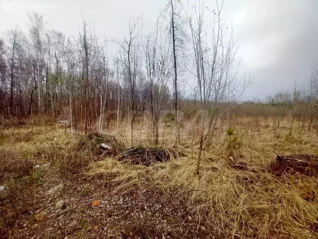 Участок в Тюменский муниципальный округ, село Салаирка (10 м) - Фото 1